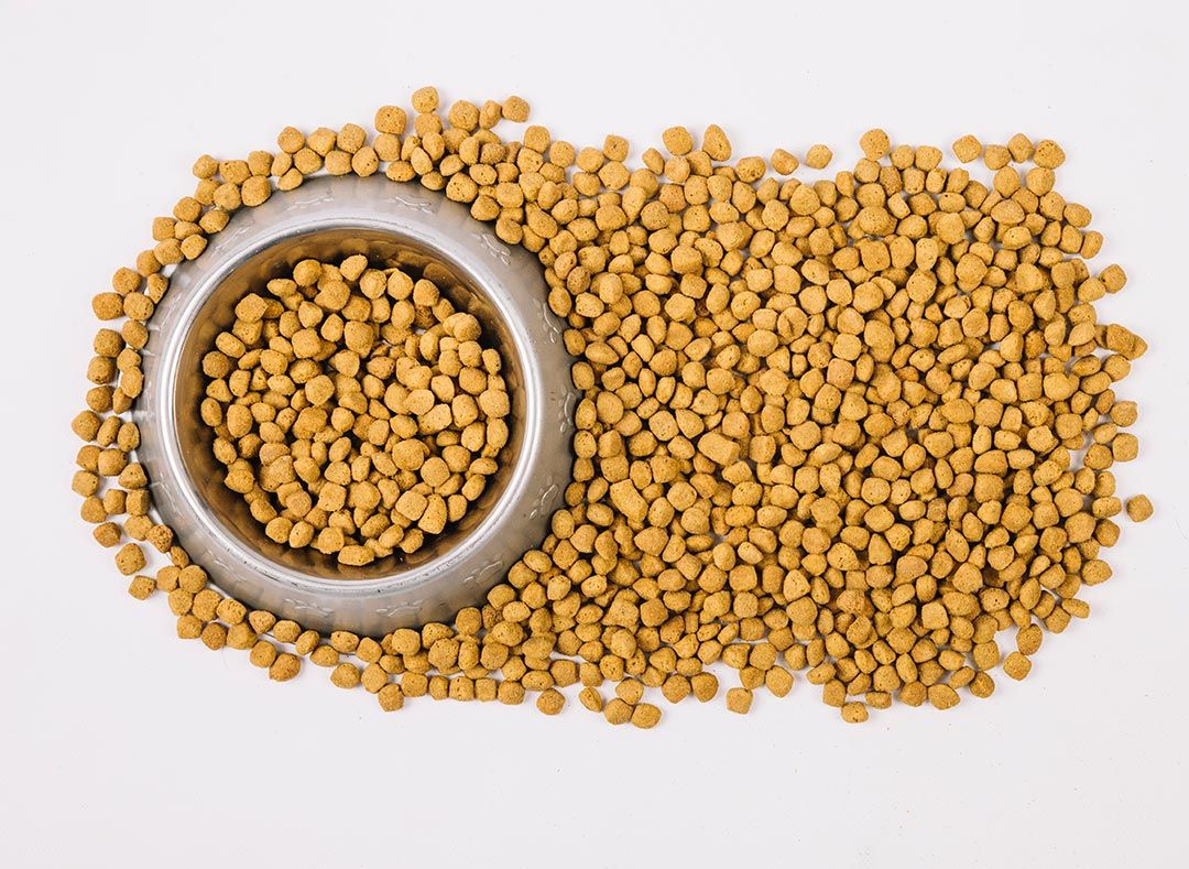 A polêmica do suplemento alimentar para animais